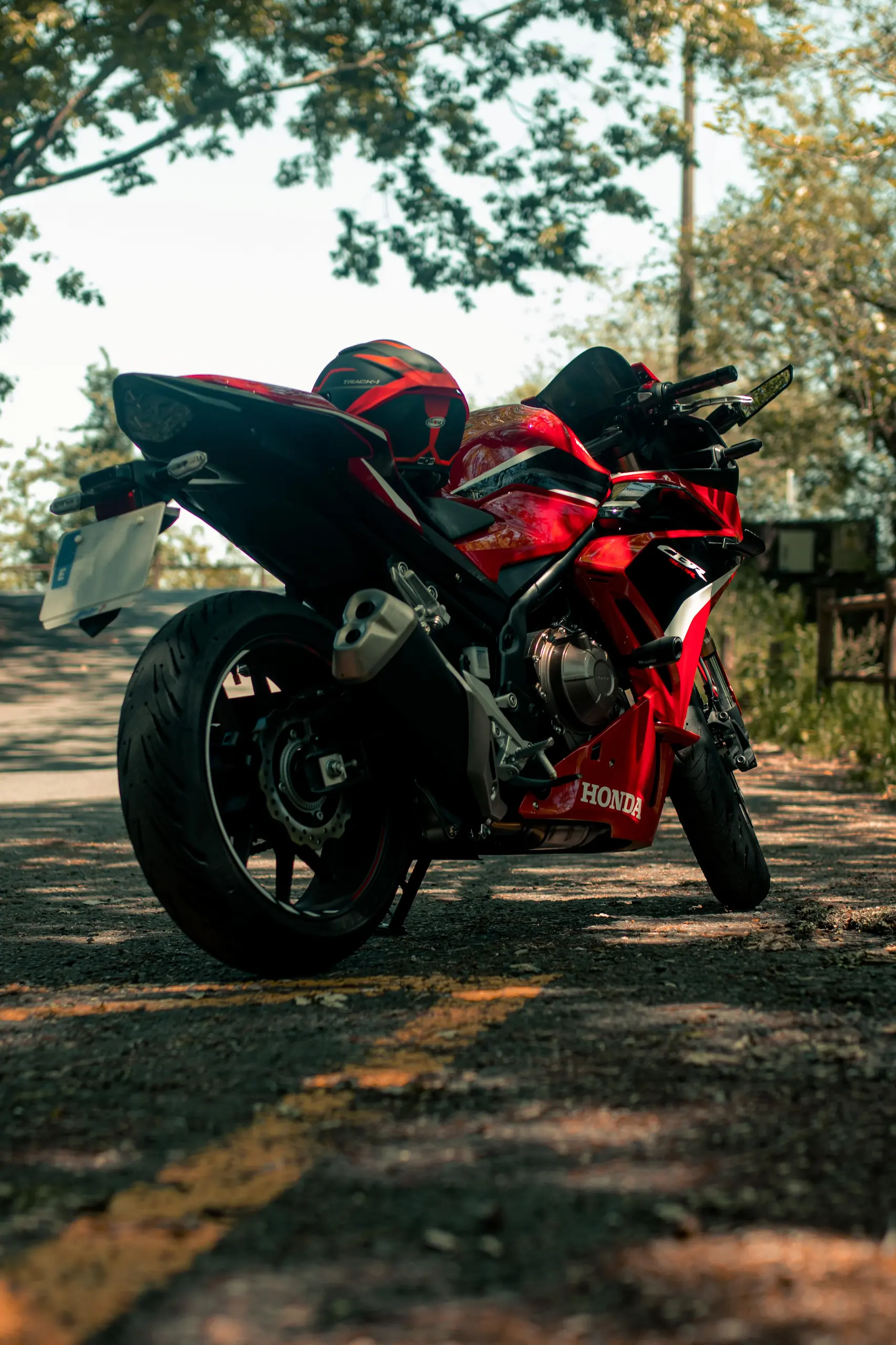 Entre montañas y motores