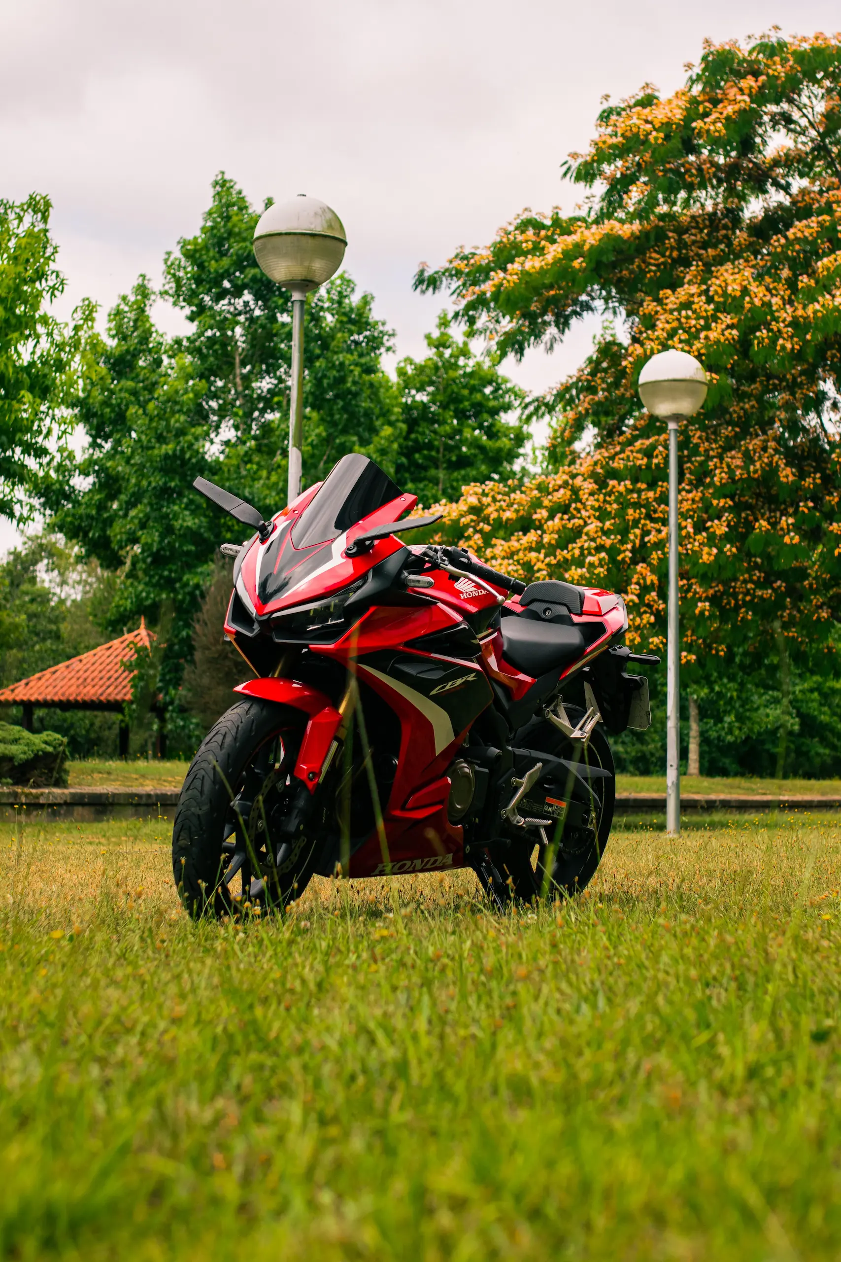 Silueta al atardecer