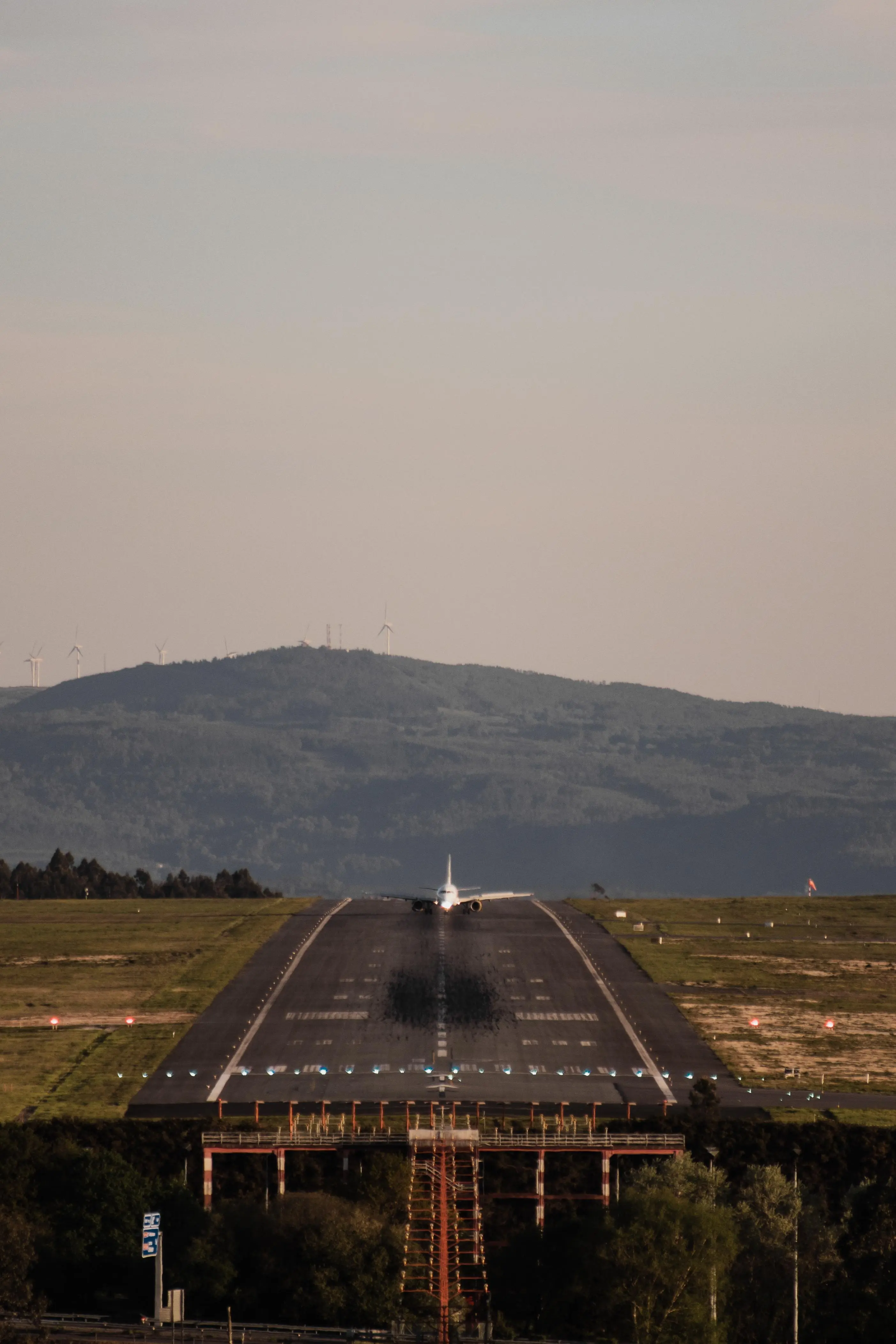 A la espera del rugido